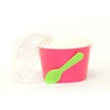 Ice Cream Cup with Dome and Spoon