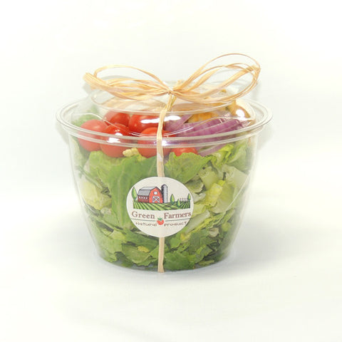 Salad To Go Kit